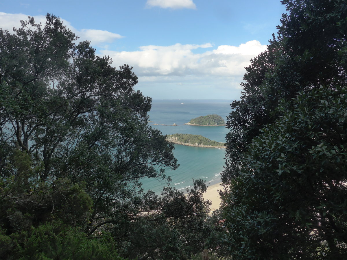 (190'751) - Bume am Mount Maunganui am 21. April 2018 bei Mauao