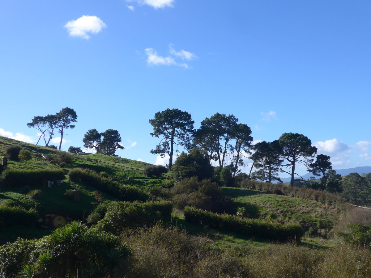 (190'902) - Hobbiton-Landschaft am 22. April 2018 bei Hinuera
