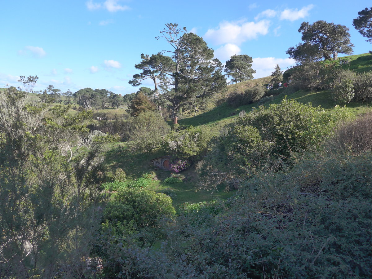 (190'905) - Hobbiton-Landschaft mit Bumen am 22. April 2018 bei Hinuera
