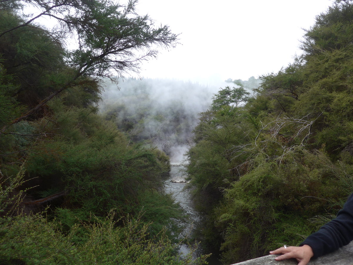 (191'017) - Im Wai-O-Tapu Thermal Wonderland am 23. April 2018 bei Rotorua