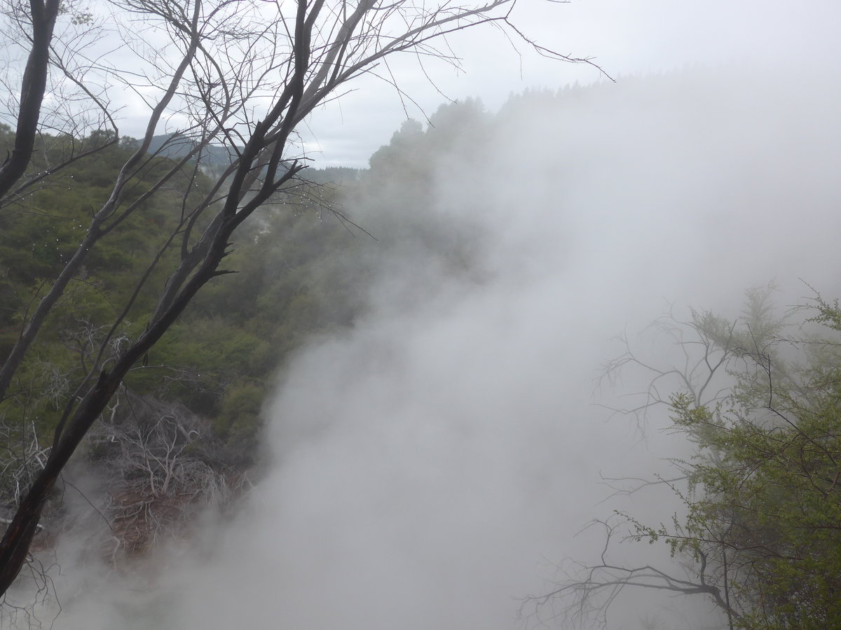 (191'020) - Im Wai-O-Tapu Thermal Wonderland am 23. April 2018 bei Rotorua