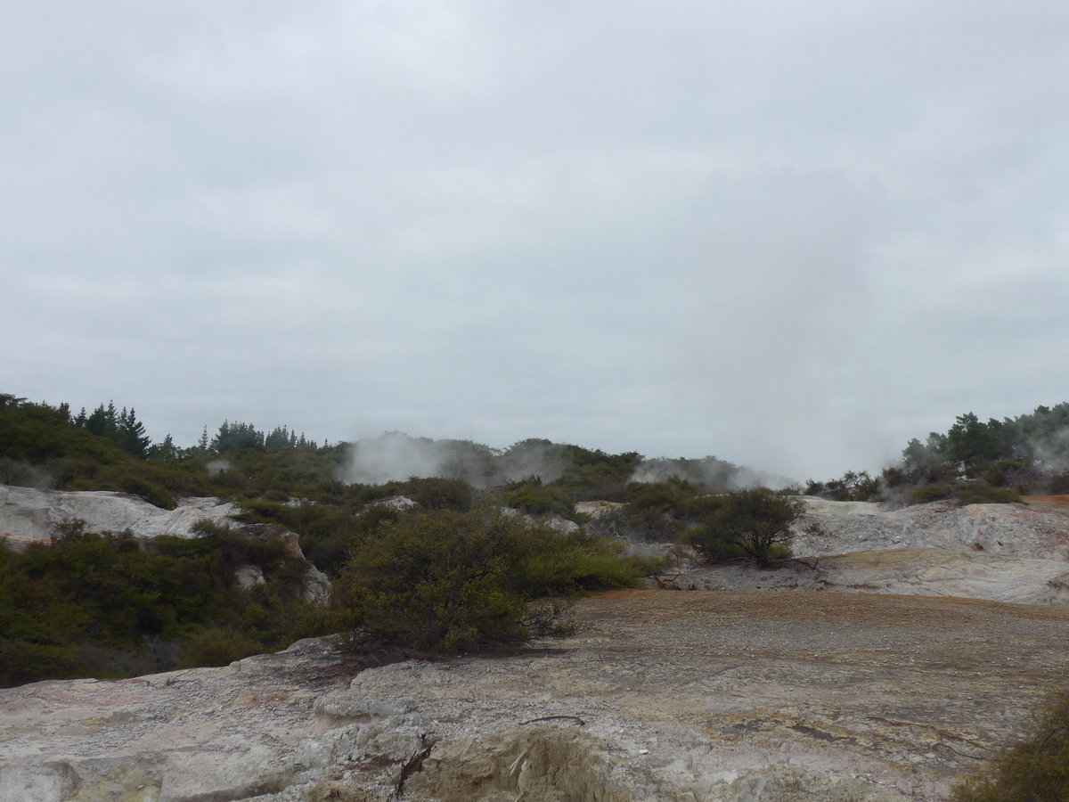 (191'027) - Im Wai-O-Tapu Thermal Wonderland am 23. April 2018 bei Rotorua