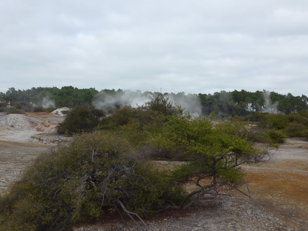 (191'028) - Im Wai-O-Tapu Thermal Wonderland am 23. April 2018 bei Rotorua
