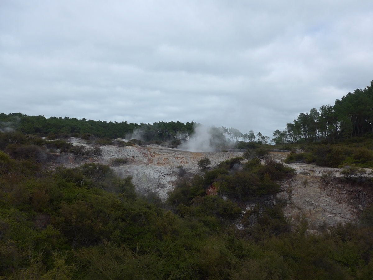 (191'029) - Im Wai-O-Tapu Thermal Wonderland am 23. April 2018 bei Rotorua
