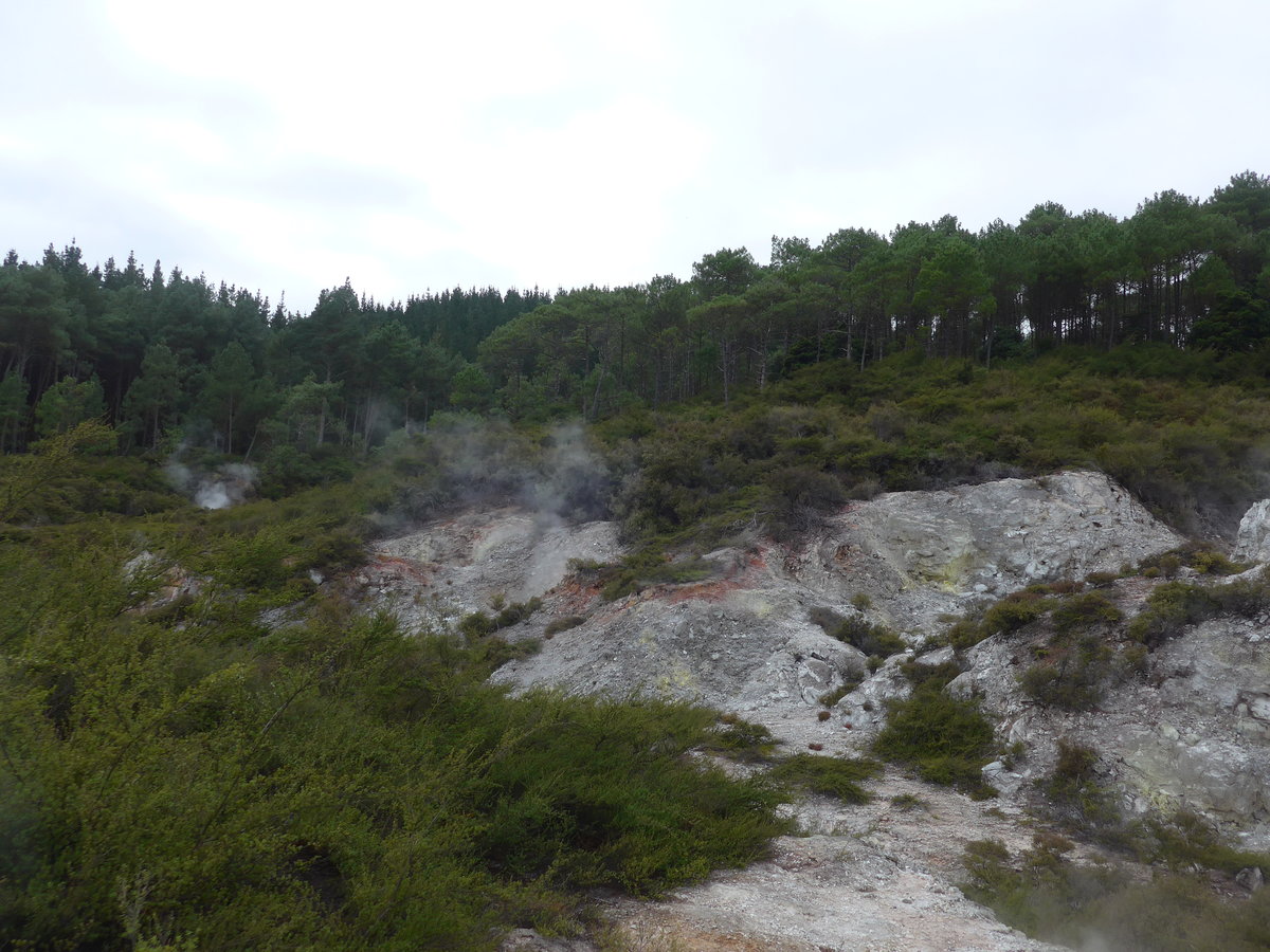 (191'030) - Im Wai-O-Tapu Thermal Wonderland am 23. April 2018 bei Rotorua
