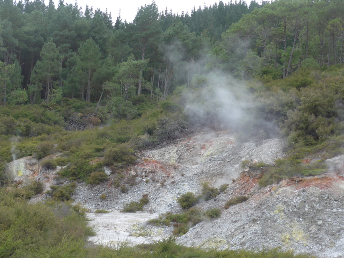(191'032) - Im Wai-O-Tapu Thermal Wonderland am 23. April 2018 bei Rotorua