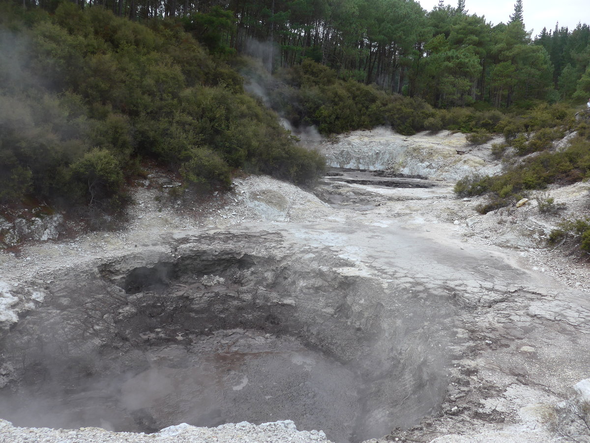(191'042) - Im Wai-O-Tapu Thermal Wonderland am 23. April 2018 bei Rotorua