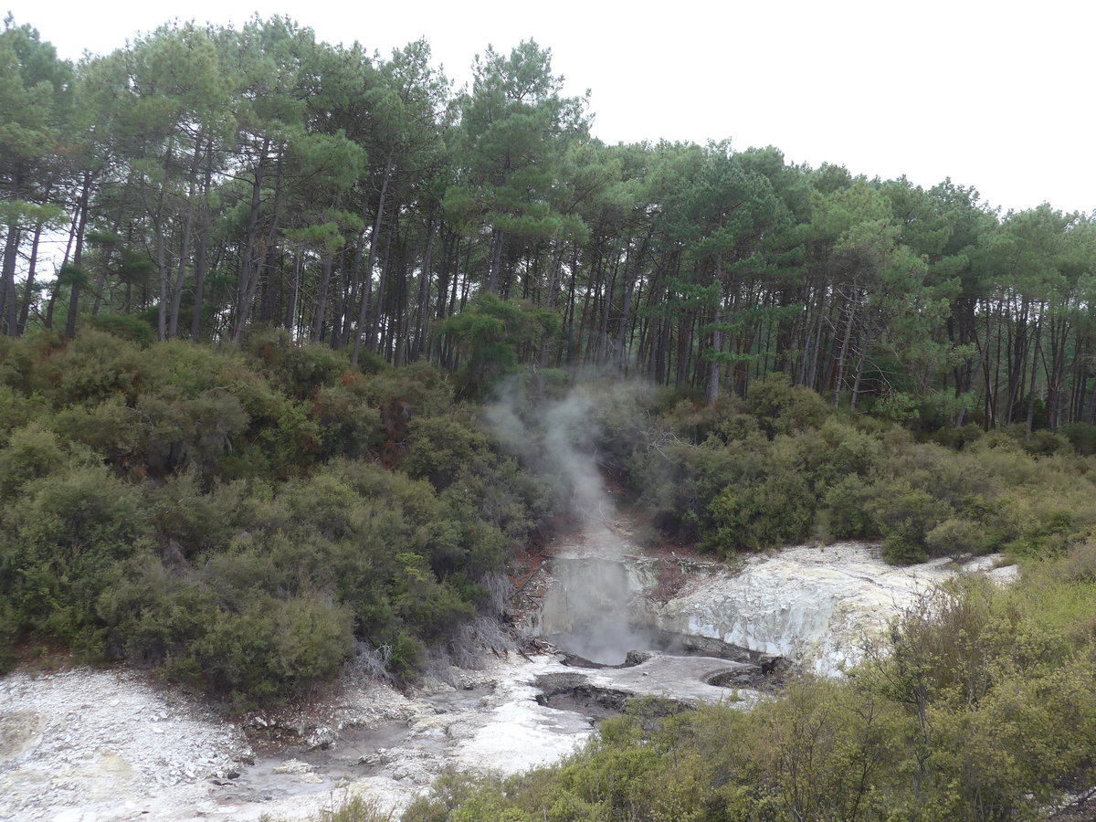 (191'045) - Im Wai-O-Tapu Thermal Wonderland am 23. April 2018 bei Rotorua