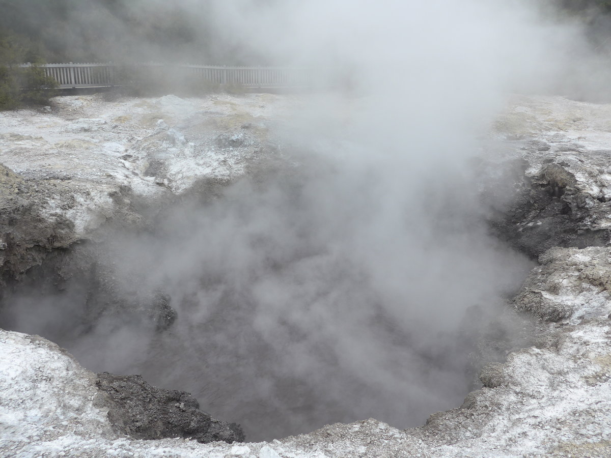 (191'053) - Im Wai-O-Tapu Thermal Wonderland am 23. April 2018 bei Rotorua