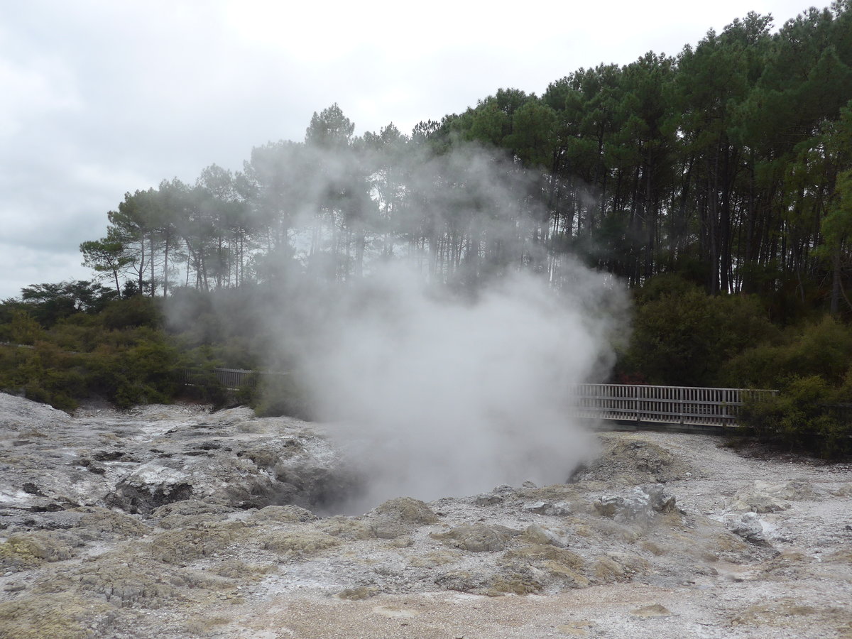 (191'057) - Im Wai-O-Tapu Thermal Wonderland am 23. April 2018 bei Rotorua