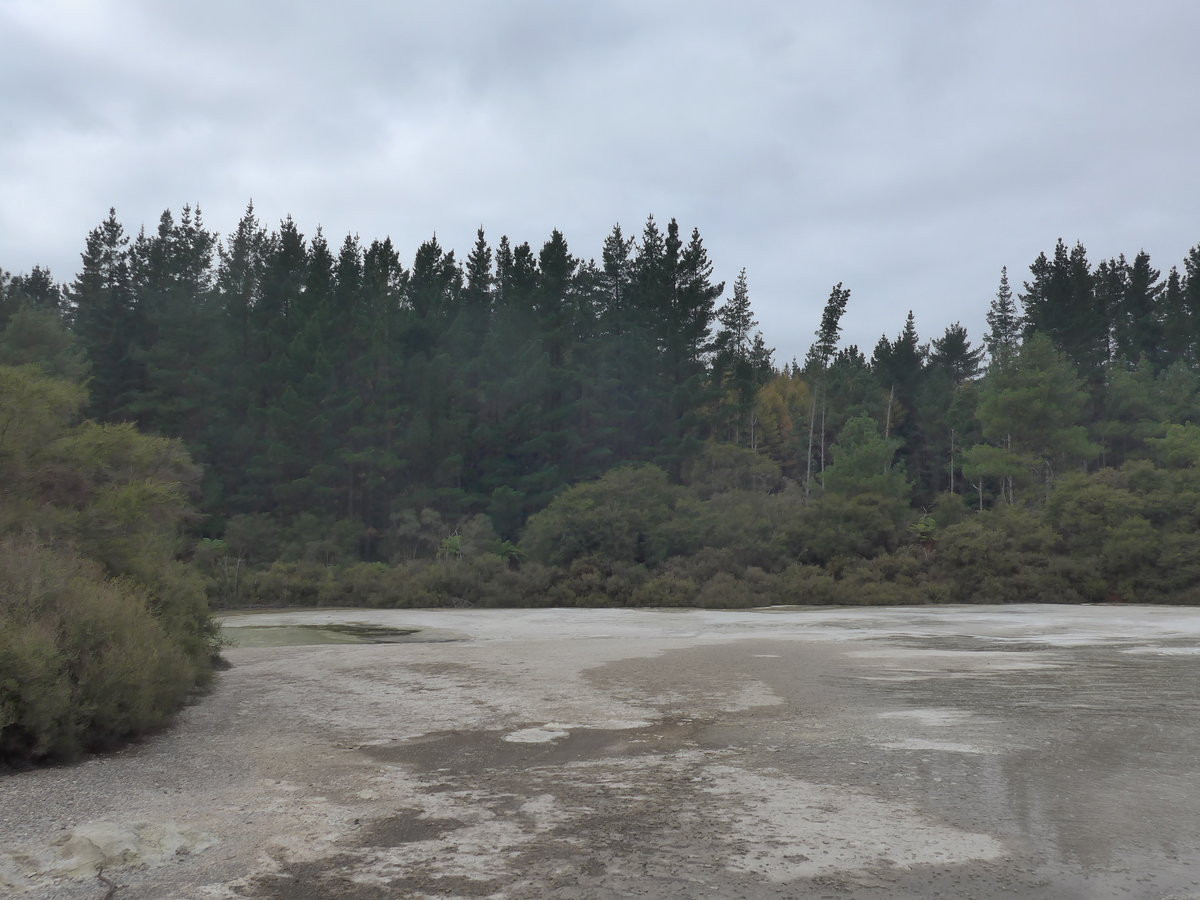 (191'065) - Im Wai-O-Tapu Thermal Wonderland am 23. April 2018 bei Rotorua