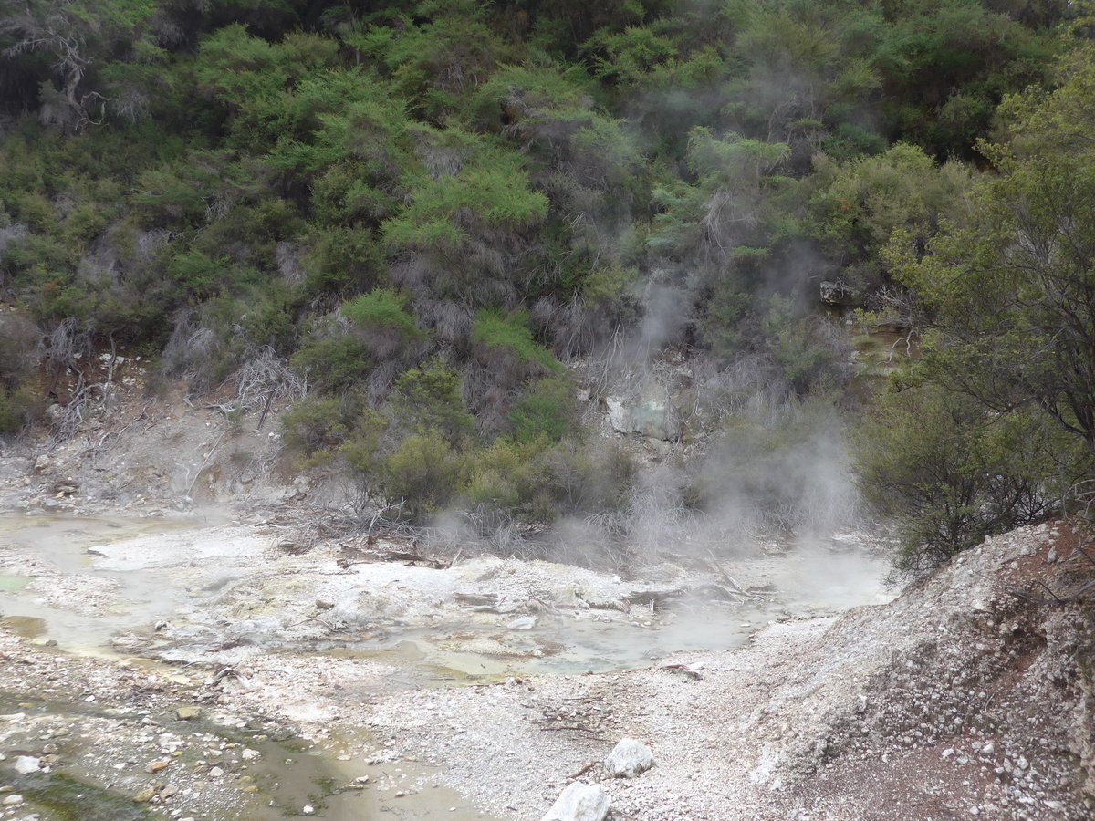 (191'101) - Im Wai-O-Tapu Thermal Wonderland am 23. April 2018 bei Rotorua