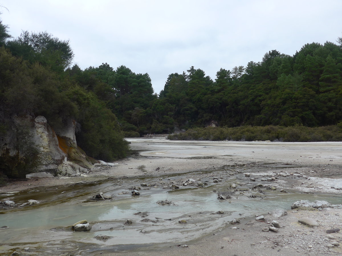 (191'113) - Im Wai-O-Tapu Thermal Wonderland am 23. April 2018 bei Rotorua