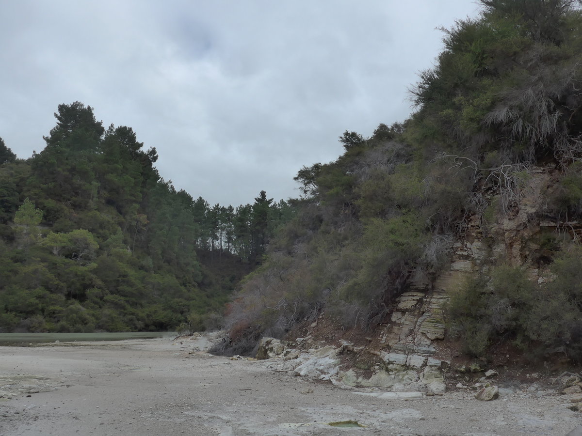 (191'116) - Im Wai-O-Tapu Thermal Wonderland am 23. April 2018 bei Rotorua