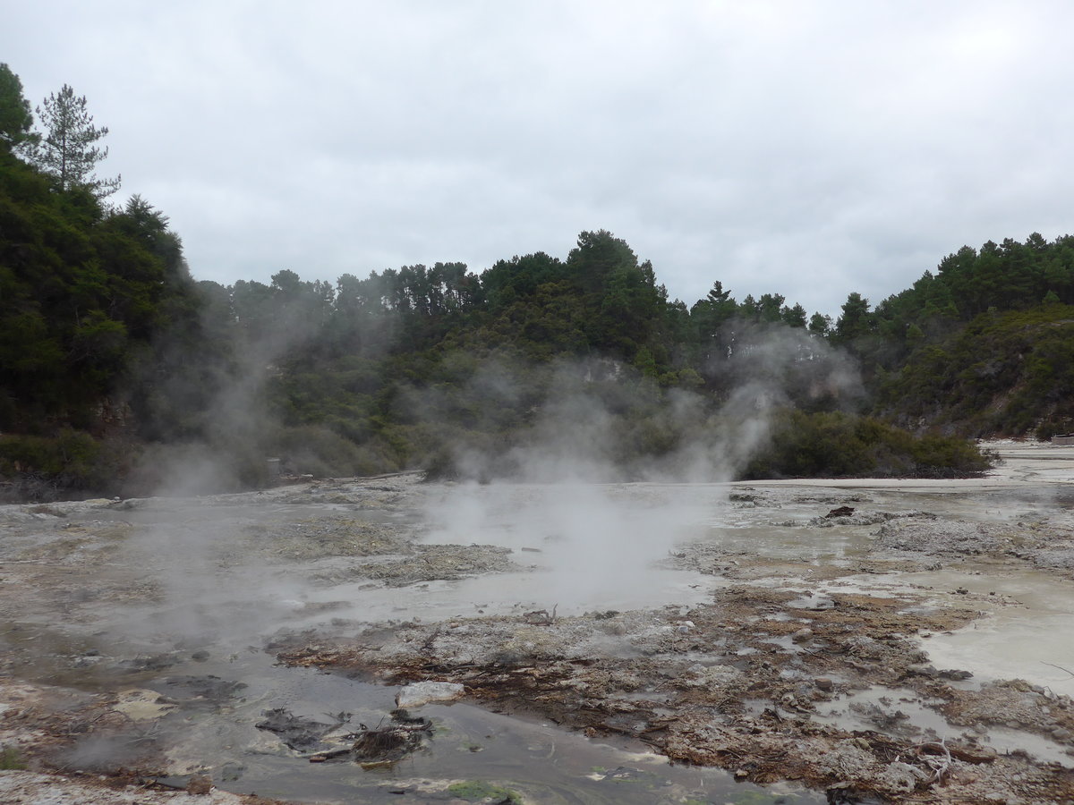 (191'131) - Im Wai-O-Tapu Thermal Wonderland am 23. April 2018 bei Rotorua