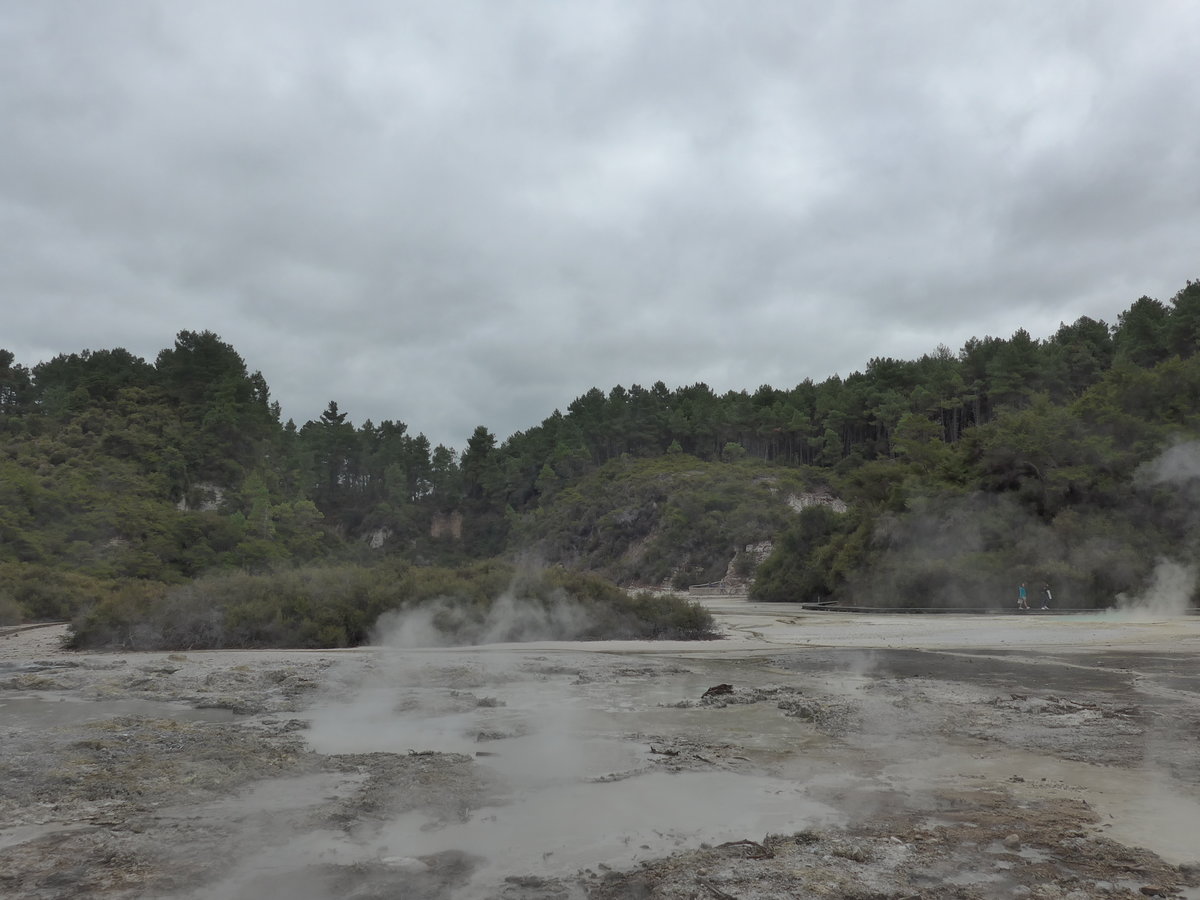 (191'132) - Im Wai-O-Tapu Thermal Wonderland am 23. April 2018 bei Rotorua