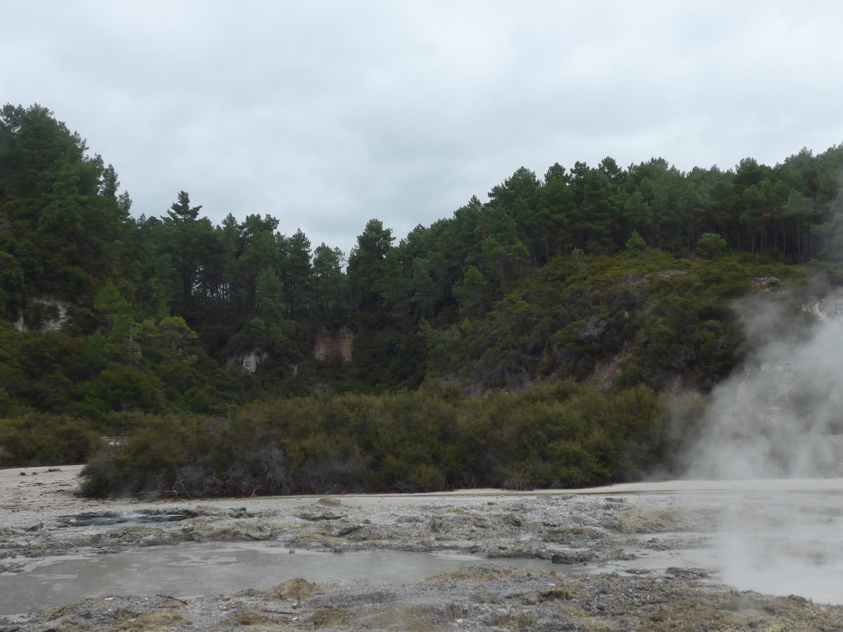 (191'133) - Im Wai-O-Tapu Thermal Wonderland am 23. April 2018 bei Rotorua