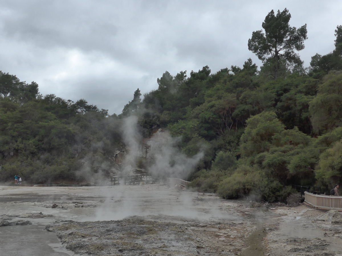 (191'135) - Im Wai-O-Tapu Thermal Wonderland am 23. April 2018 bei Rotorua