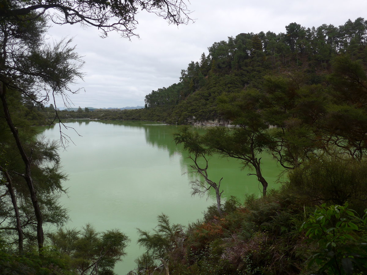 (191'157) - See und Bume im Wai-O-Tapu Thermal Wonderland am 23. April 2018 bei Rotorua