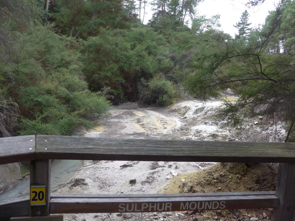 (191'161) - Im Wai-O-Tapu Thermal Wonderland am 23. April 2018 bei Rotorua