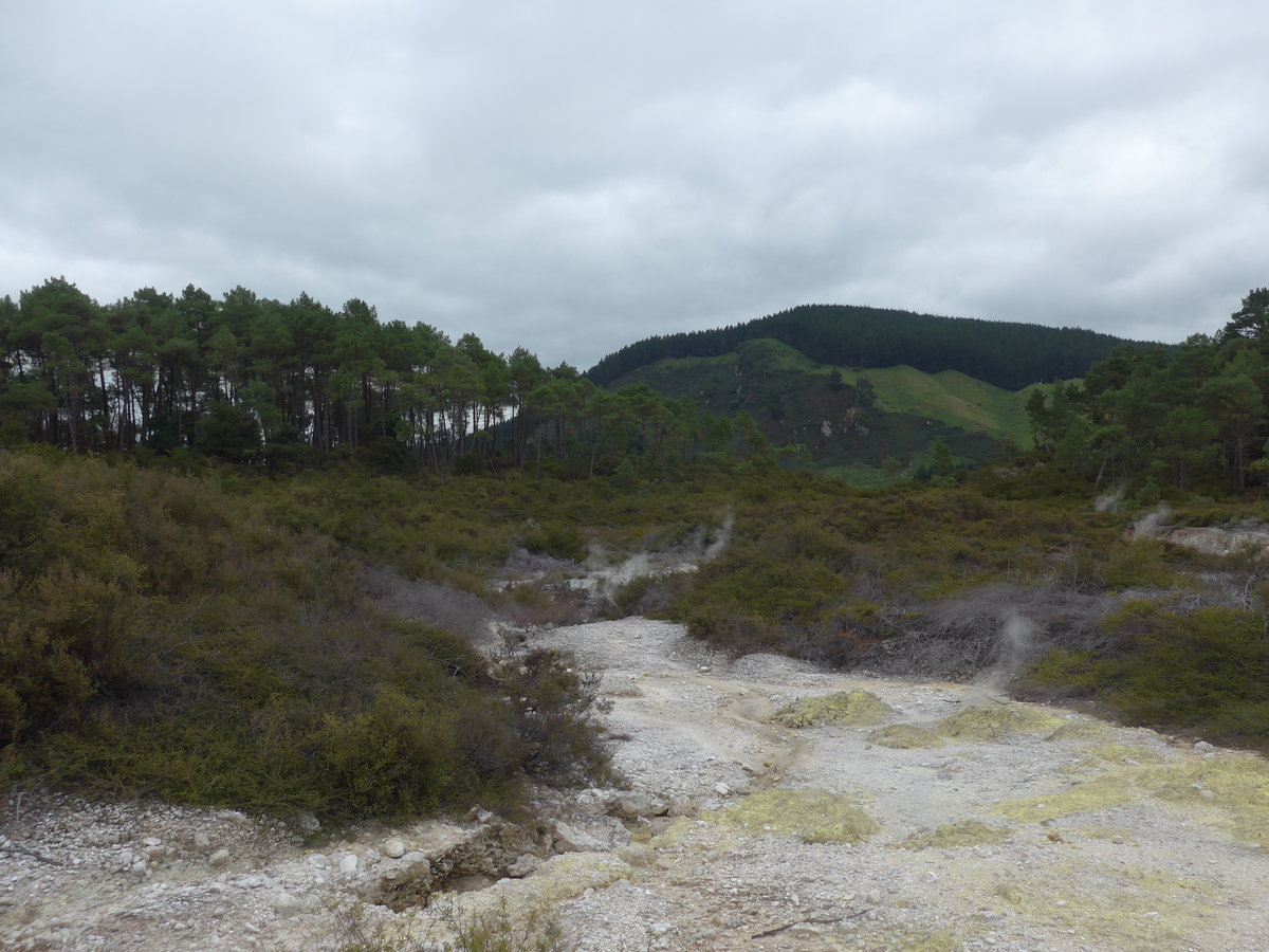 (191'172) - Im Wai-O-Tapu Thermal Wonderland am 23. April 2018 bei Rotorua