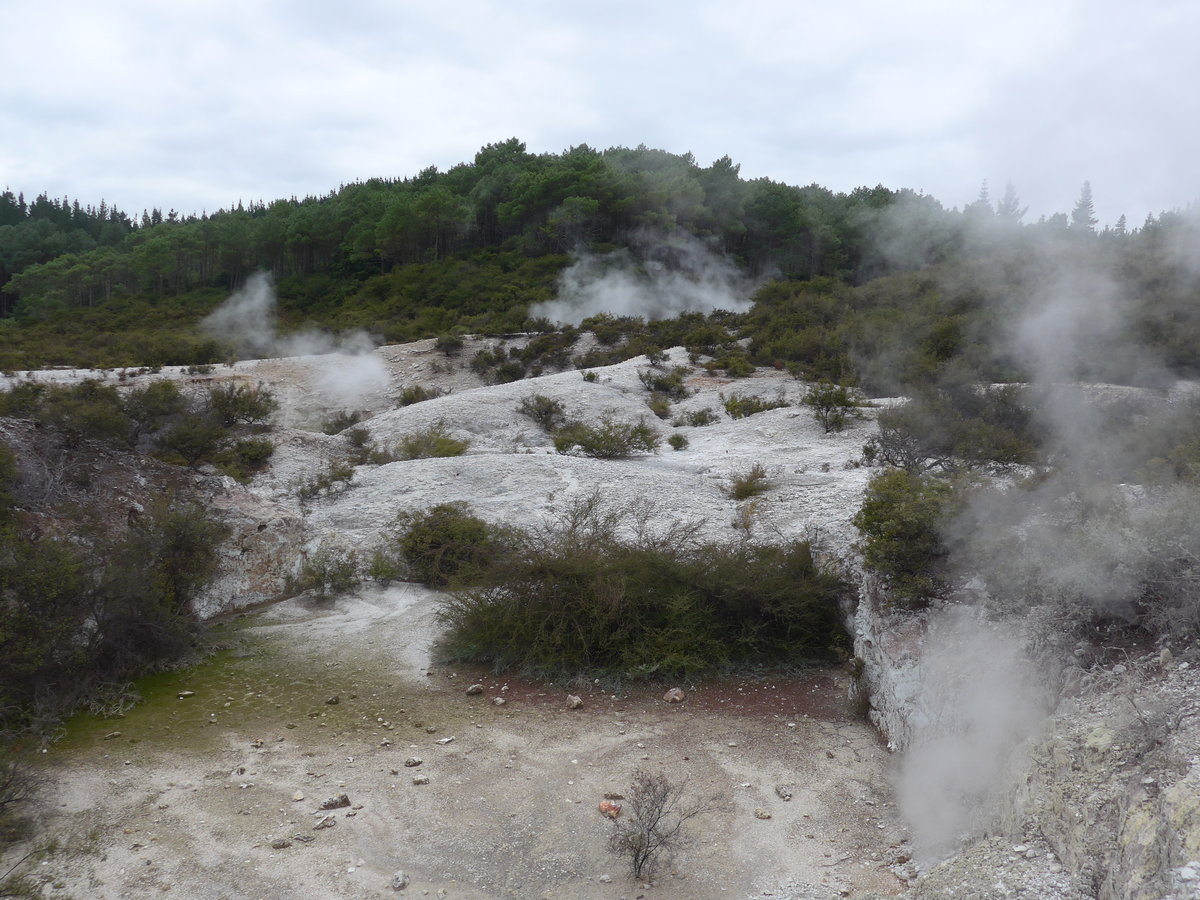 (191'181) - Im Wai-O-Tapu Thermal Wonderland am 23. April 2018 bei Rotorua