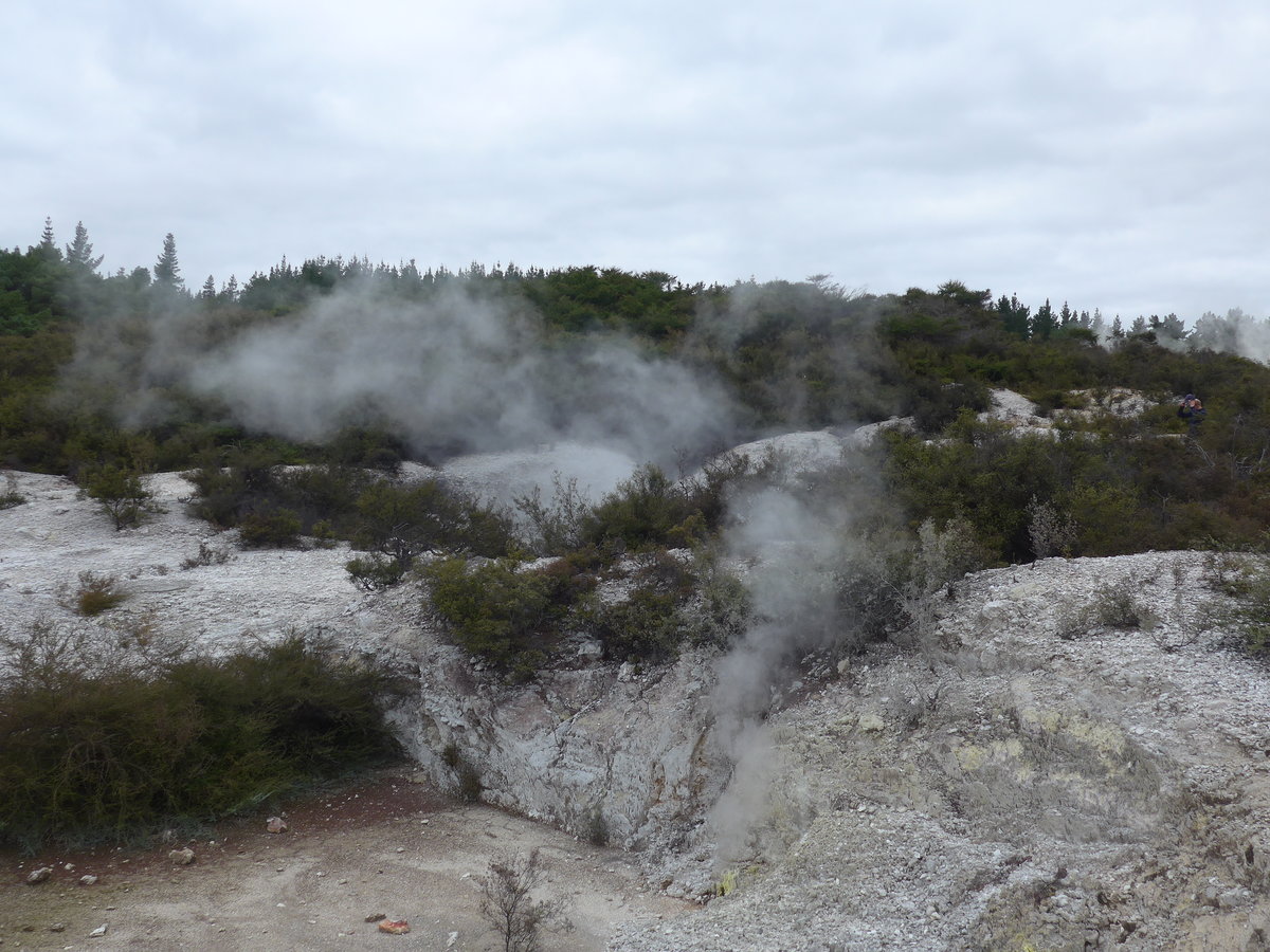 (191'182) - Im Wai-O-Tapu Thermal Wonderland am 23. April 2018 bei Rotorua