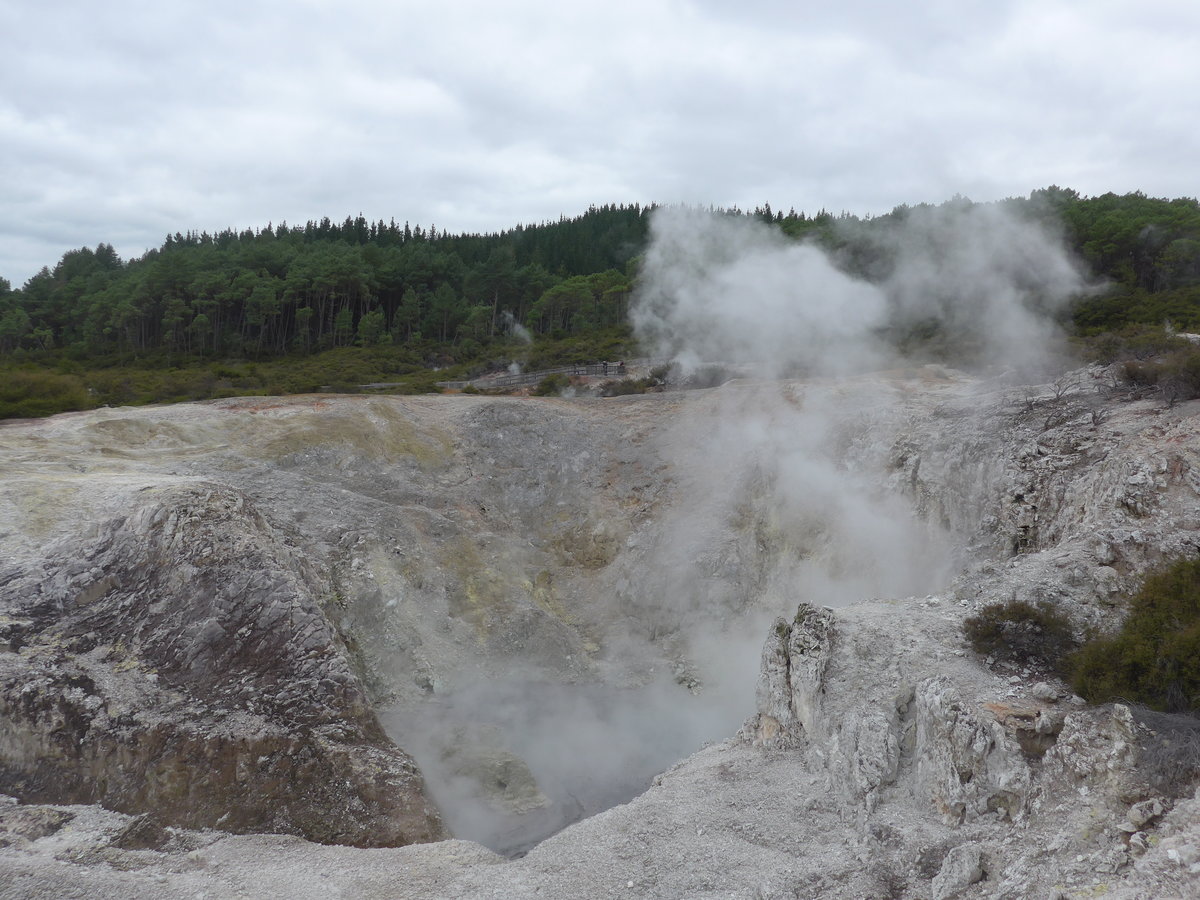 (191'192) - Im Wai-O-Tapu Thermal Wonderland am 23. April 2018 bei Rotorua