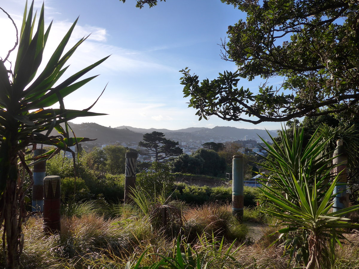 (191'534) - Blick durch die Bume auf Wellington am 26. April 2018 vom ZOO aus