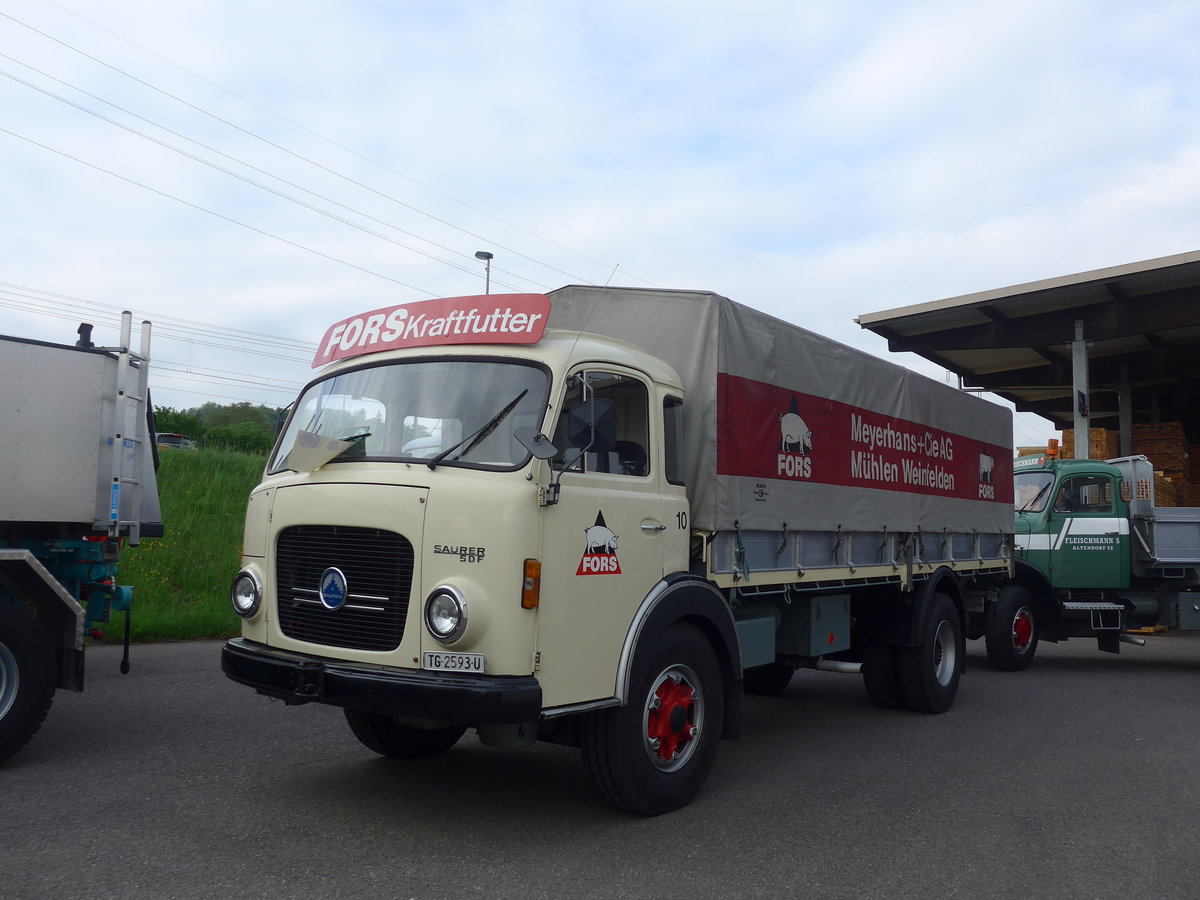 (192'336) - Meyerhans, Weinfelden - Nr. 10/TG 2593 U - Saurer am 5. Mai 2018 in Attikon, Wegmller