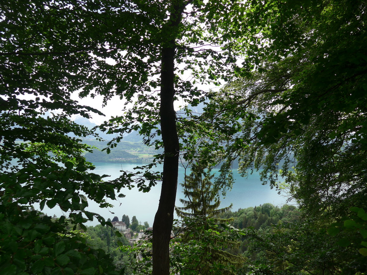 (193'608) - Gunten mit Thunersee und Niesen am 27. Mai 2018 von Aeschlen aus