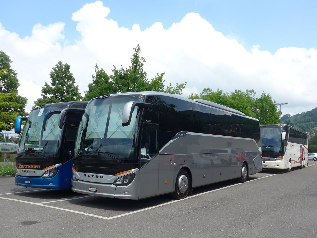 (193'758) - Edelline, Murten - FR 300'641 - Setra am 8. Juni 2018 in Thun, Seestrasse