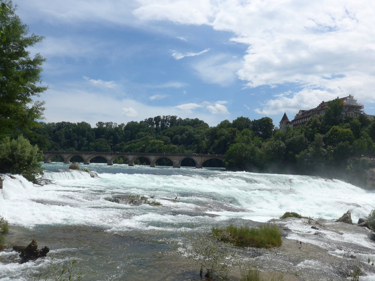 (193'958) - Der Rheinfall mit Brcke und Schloss Laufen am 10. Juni 2018 bei Neuhausen
