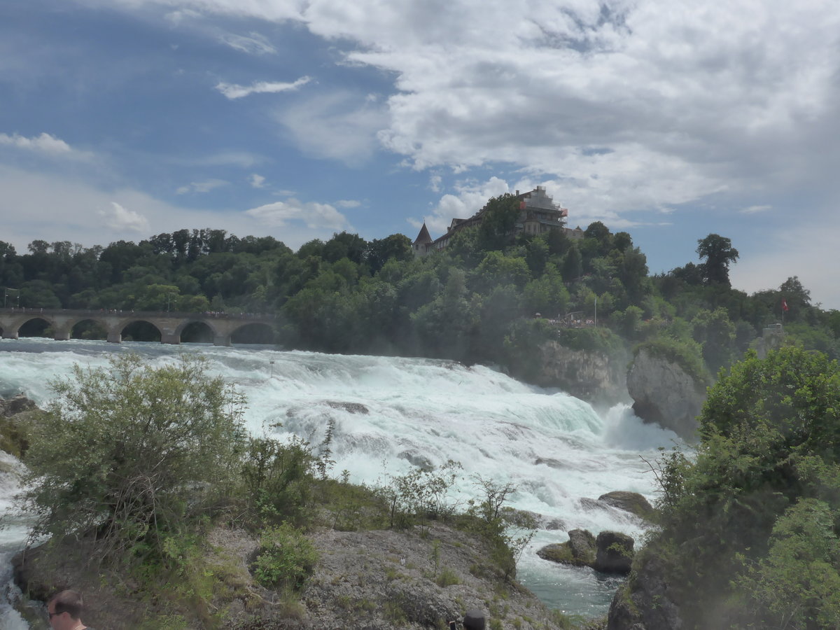 (193'960) - Der Rheinfall mit Brcke und Schloss Laufen am 10. Juni 2018 bei Neuhausen