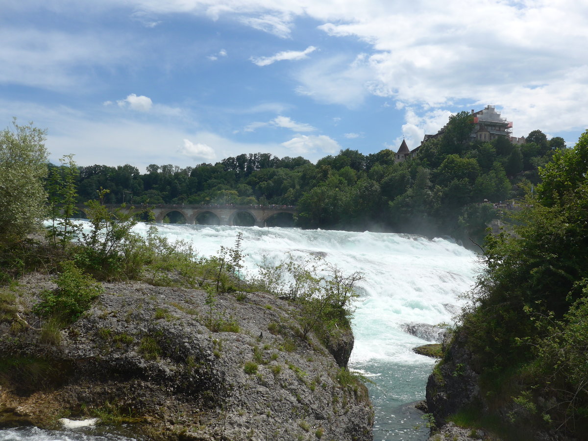 (193'963) - Der Rheinfall mit Brcke und Schloss Laufen am 10. Juni 2018 bei Neuhausen