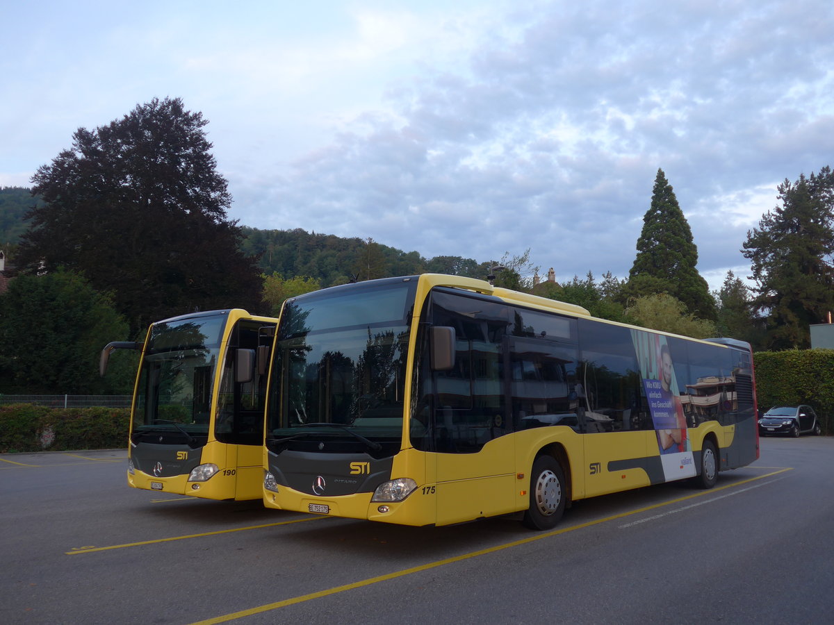 (195'239) - STI Thun - Nr. 175/BE 752'175 - Mercedes am 28. Juli 2018 bei der Schifflndte Thun