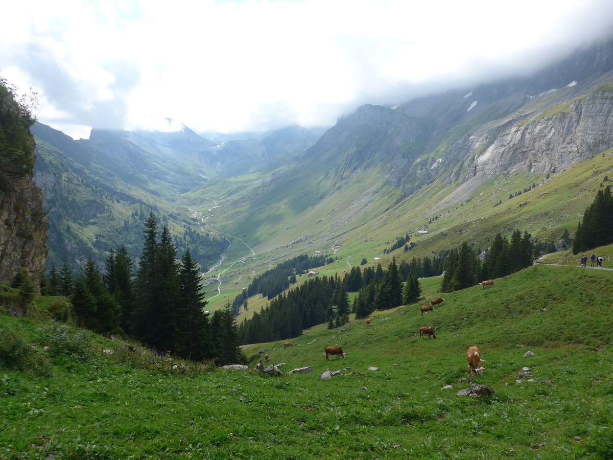 (195'977) - Ausblick vom Rychebrgli am 28. August 2018 bei Kandersteg