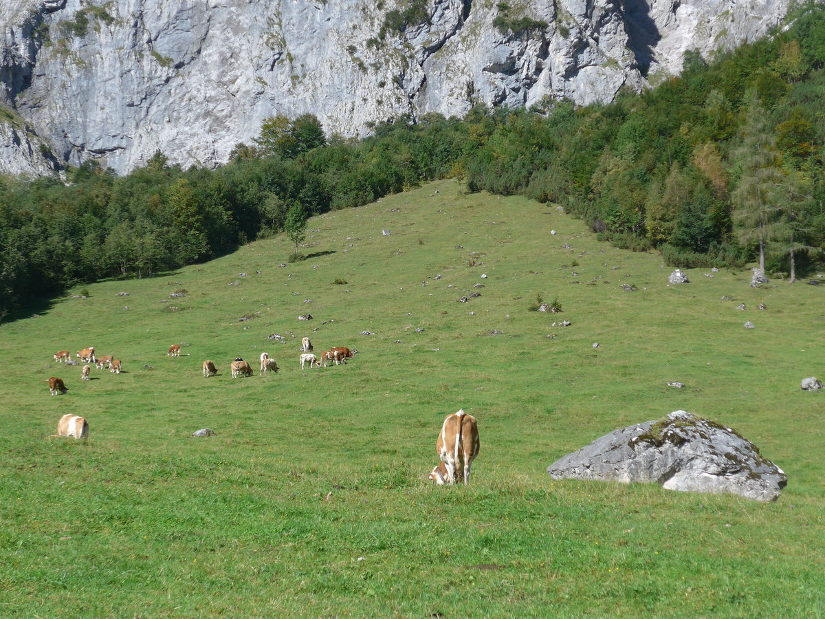 (196'761) - Widende Khe am 11. September 2018 auf der Gramai Alm