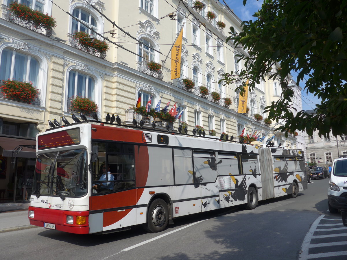 (197'268) - OBUS Salzburg - Nr. 229/S 946 DM - Grf&Stift Gelenktrolleybus (ex Nr. 9469) am 13. September 2018 in Salzburg, Makartplatz