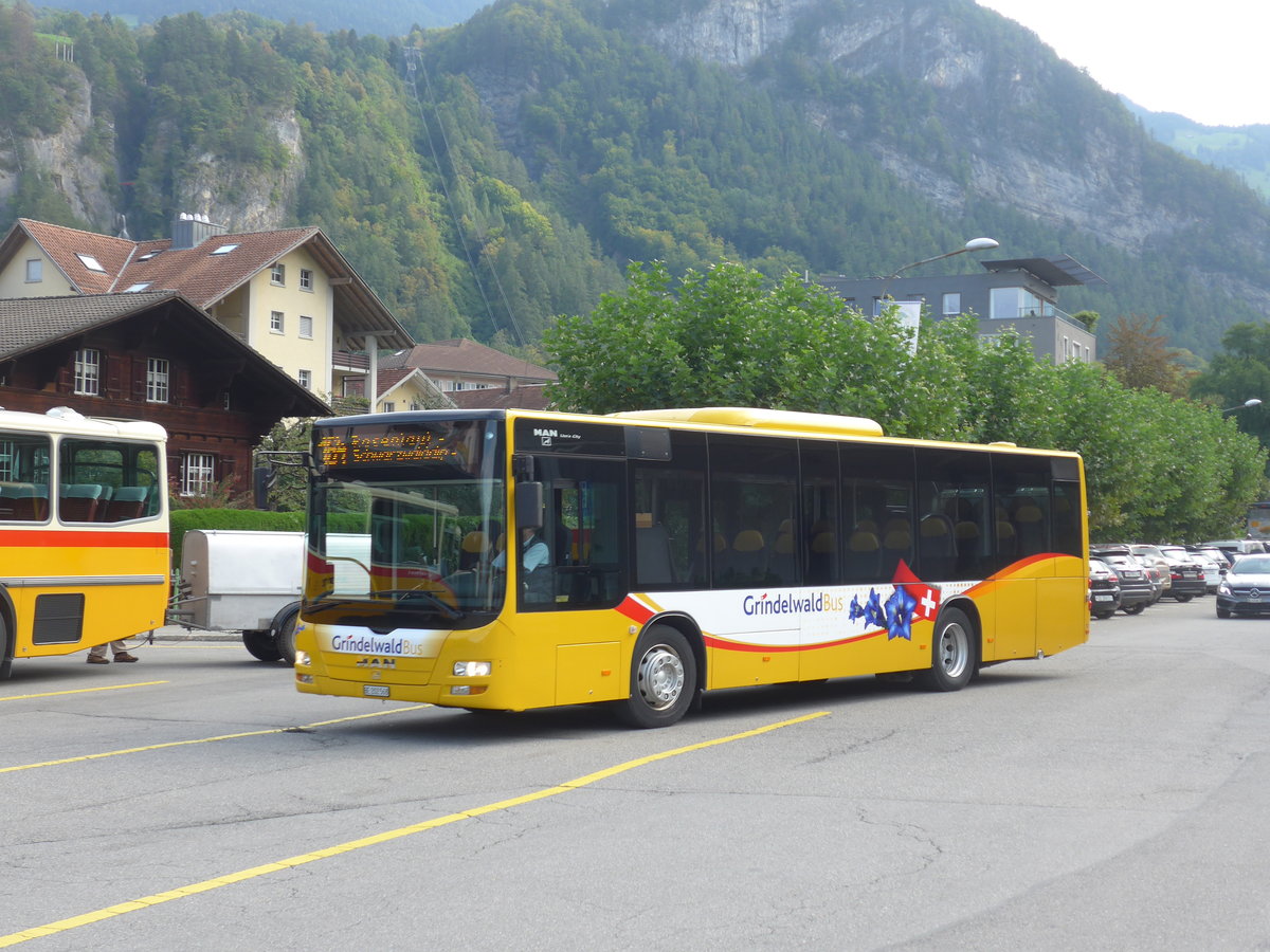 (197'672) - AVG Grindelwald - Nr. 14/BE 202'568 - MAN/Gppel am 16. September 2018 in Meiringen, Postautostation