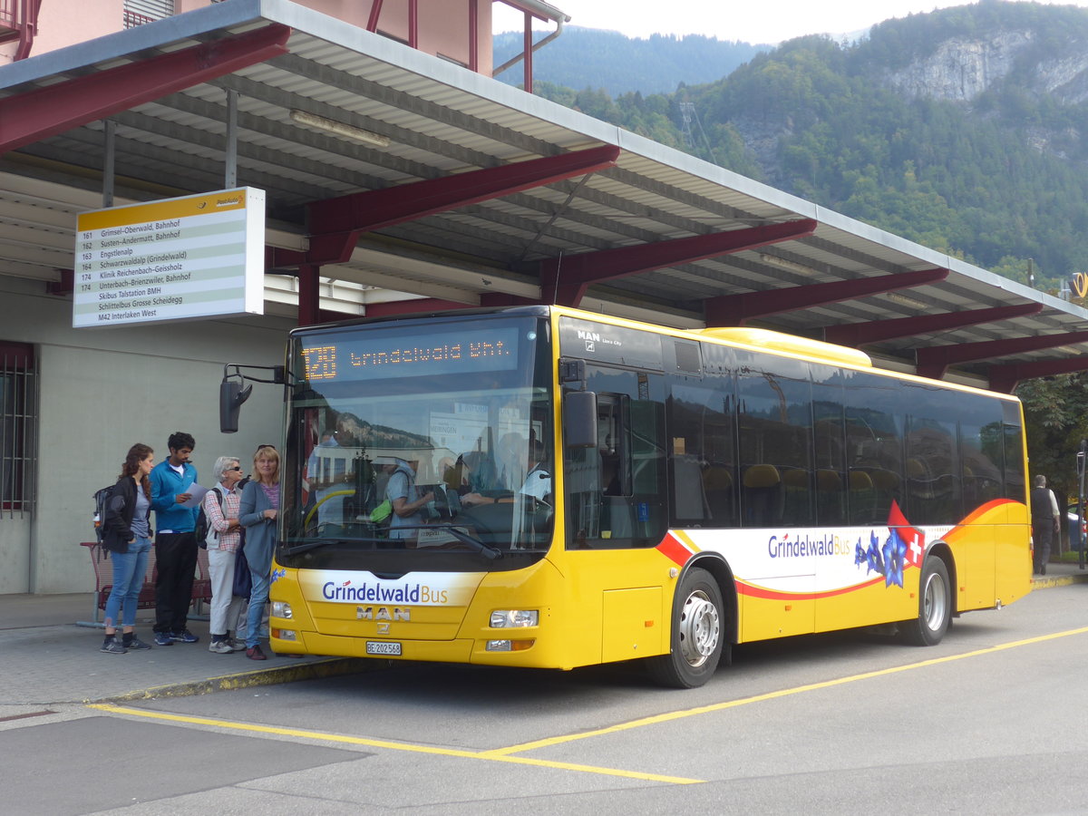 (197'674) - AVG Grindelwald - Nr. 14/BE 202'568 - MAN/Gppel am 16. September 2018 in Meiringen, Postautostation