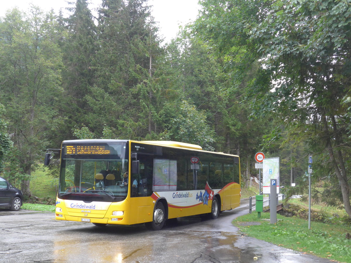 (197'808) - AVG Grindelwald - Nr. 11/BE 261'865 - MAN/Gppel am 16. September 2018 auf der Schwarzwaldalp