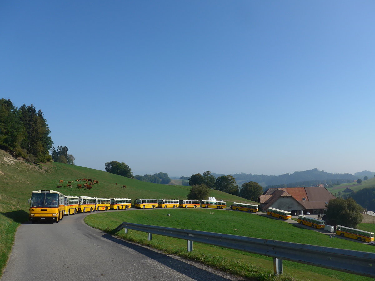 (198'000) - Kolb, Grasswil - Nr. 3/BE 93'915 - Saurer/R&J (ex Schmocker, Stechelberg Nr. 3; ex Nr. 1; ex Gertsch, Stechelberg Nr. 1) am 30. September 2018 in Hofstatt, Ober Flhlen (und 12 weitere Saurer RH)