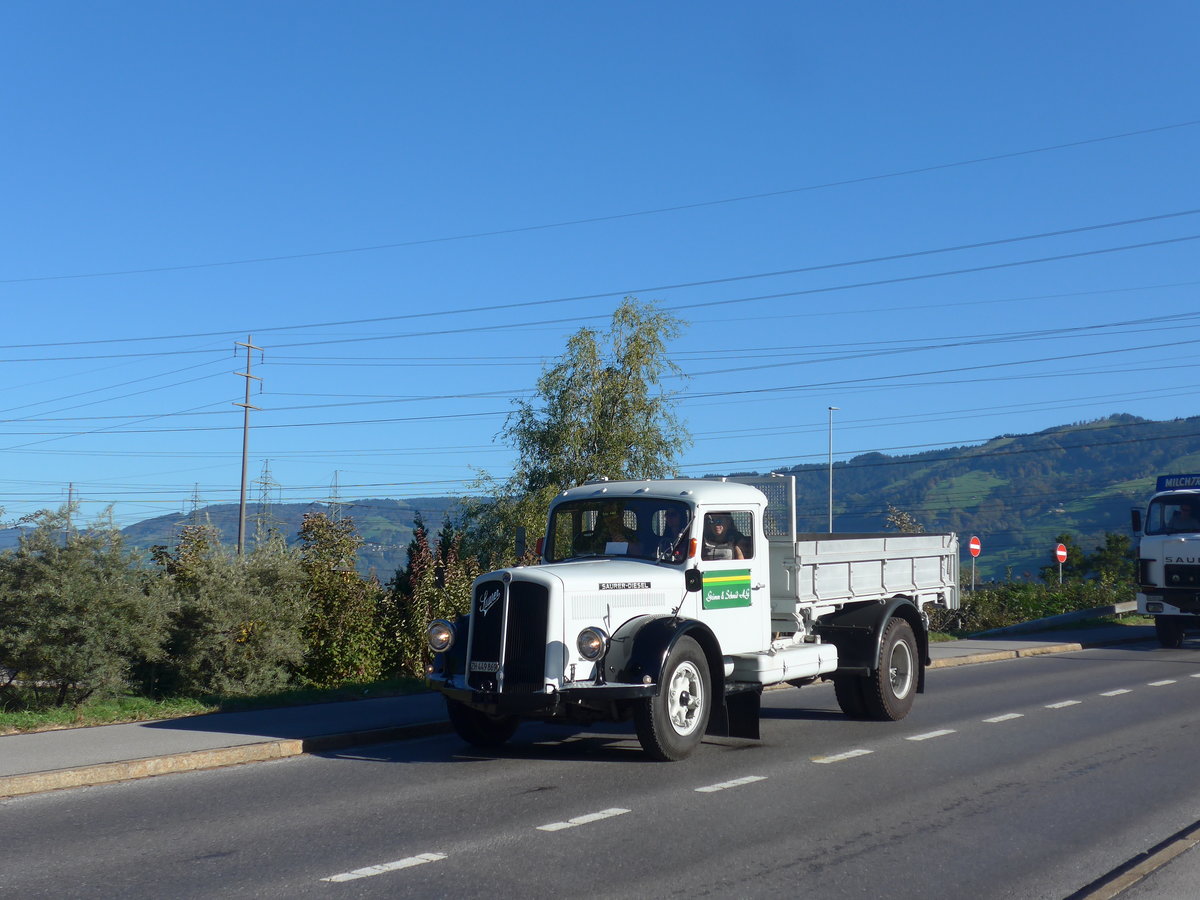 (198'183) - Grimm&Schmid, Grningen - ZH 449'869 - Saurer am 13. Oktober 2018 in Bilten, Schniserstrasse