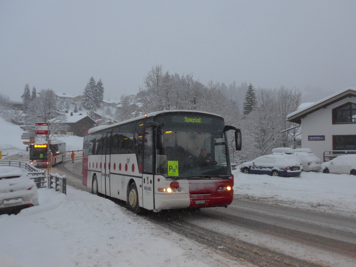 (201'018) - Wieland, Murten - Nr. 29/FR 300'599 - Neoplan (ex Mark, Andeer; ex P 25'166; ex Mark, Andeer) am 13. Januar 2019 in Adelboden, Oey