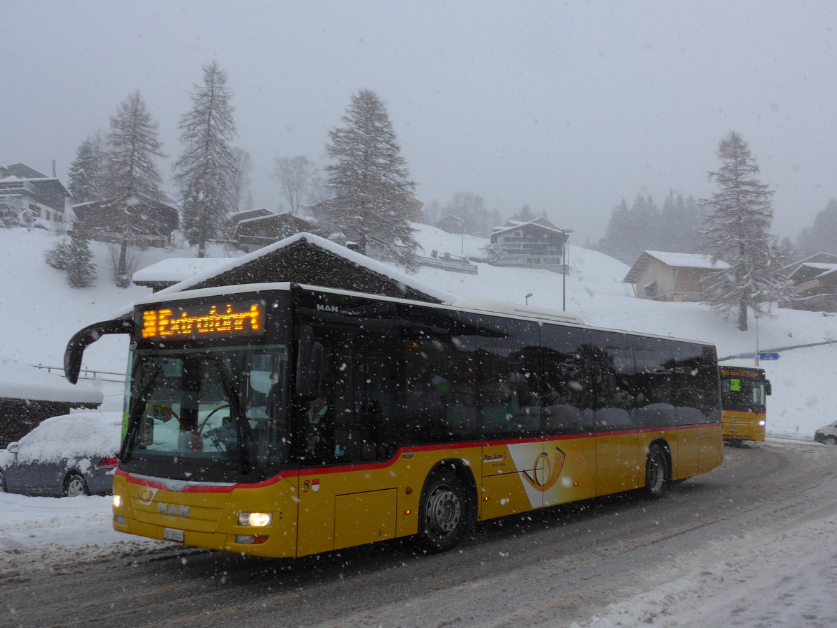 (201'092) - Steiner, Messen - SO 20'141 - MAN am 13. Januar 2019 in Adelboden, Oey