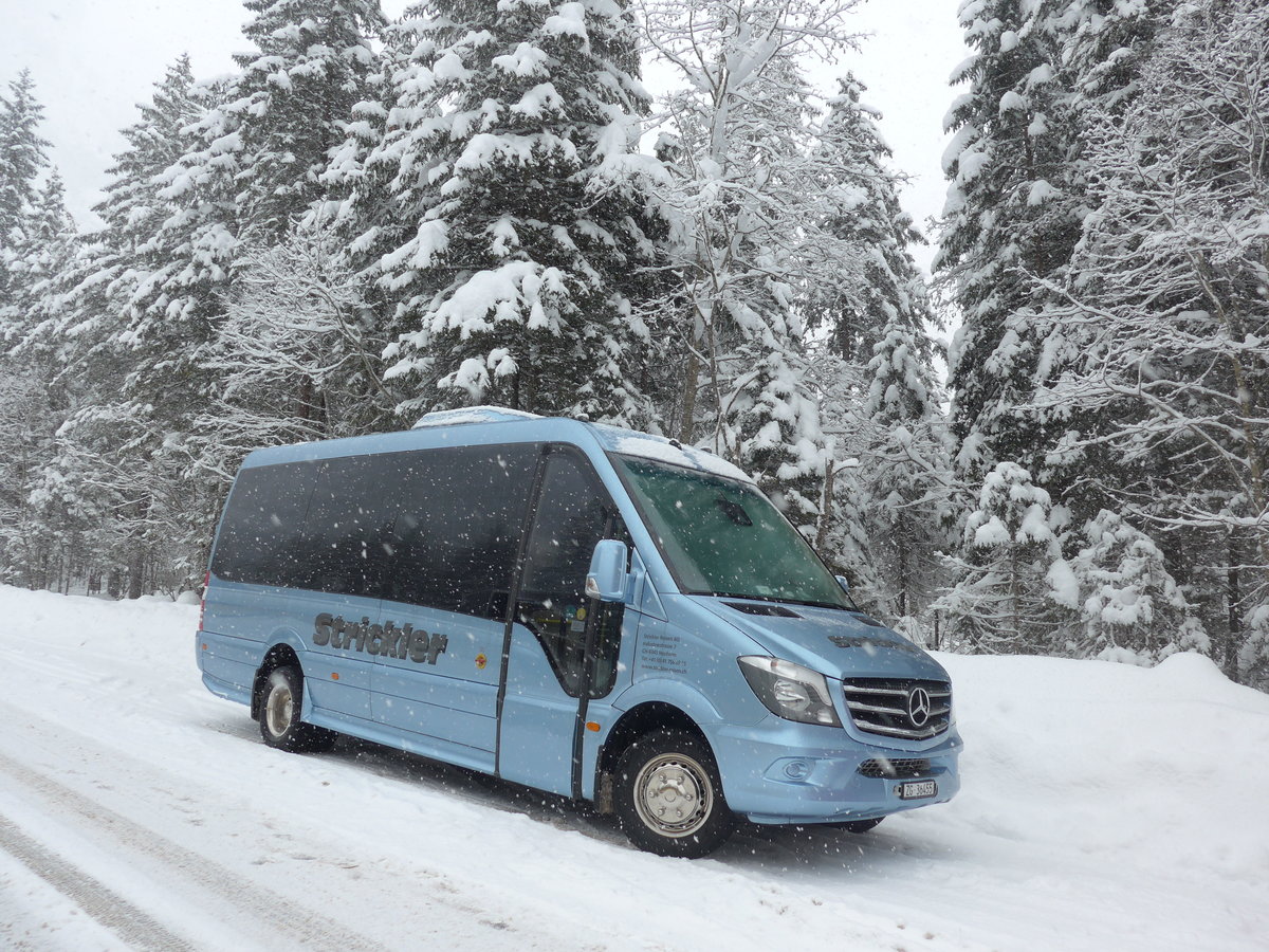 (201'173) - Strickler, Neuheim - ZG 36'455 - Mercedes am 13. Januar 2019 in Adelboden, Unter dem Birg