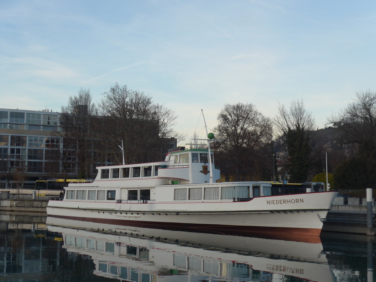 (201'315) - Motorschiff Niederhorn am 26. Januar 2019 an der Schifflndte Thun