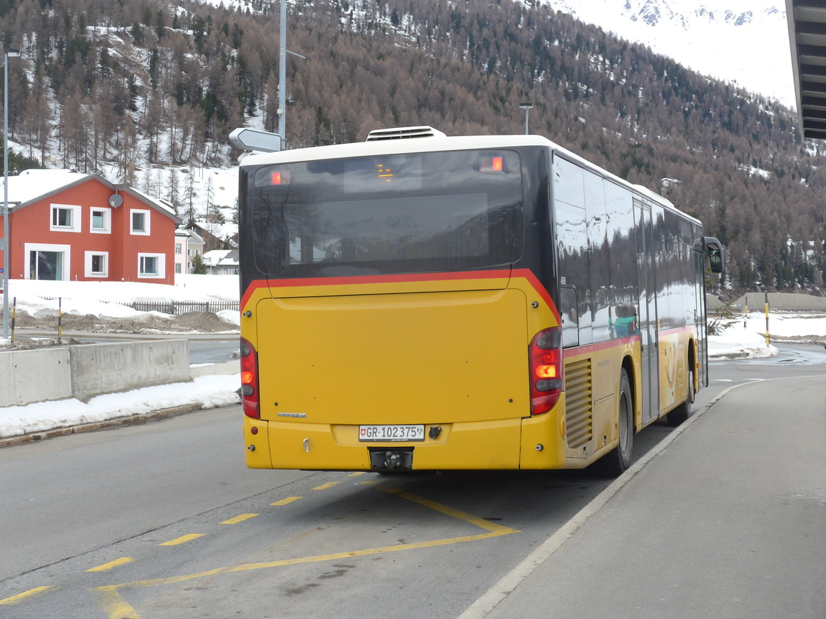 (202'088) - PostAuto Graubnden - GR 102'375 - Setra am 10. Mrz 2019 in Silvaplana, Kreisel Mitte