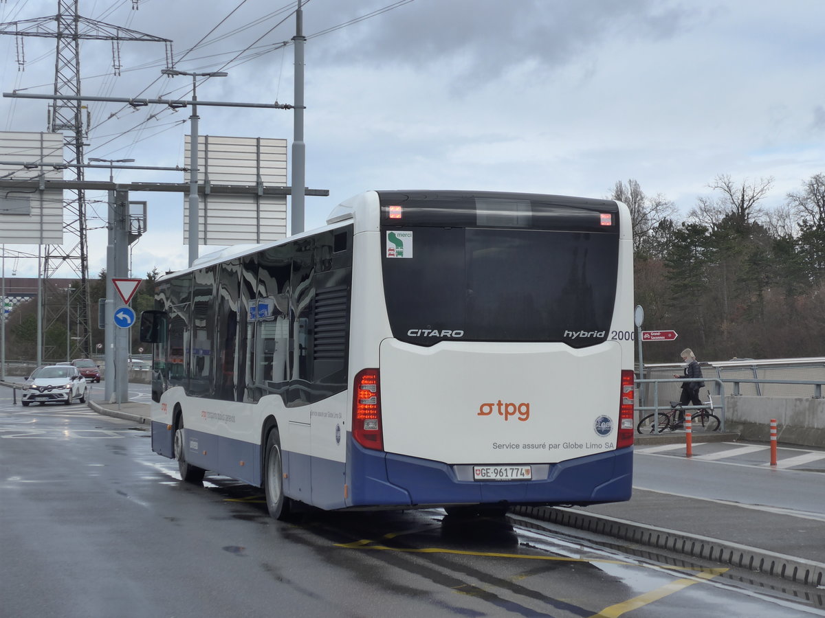 (202'268) - Globe-Limo, Genve - Nr. 2000/GE 961'774 - Mercedes am 11. Mrz 2019 in Genve, Aroport